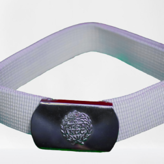 NCC Navy Nylon belt white