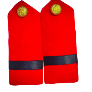 Junior Under officer ( Army wing Rank )