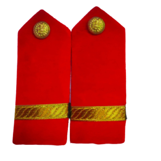 ( Army wing rank ) Golden Junior officer rank