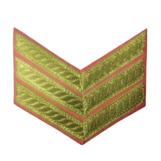 NCC SERGEAMENT WING GOLDEN RANK